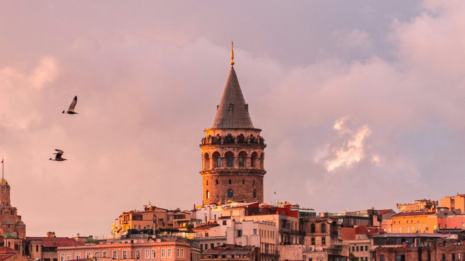 youssef-mohamed-D653vQMPqcw-unsplash