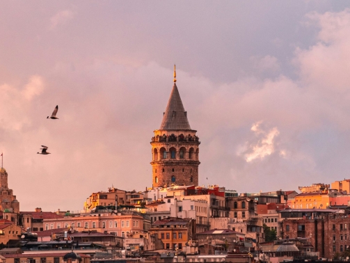 youssef-mohamed-D653vQMPqcw-unsplash